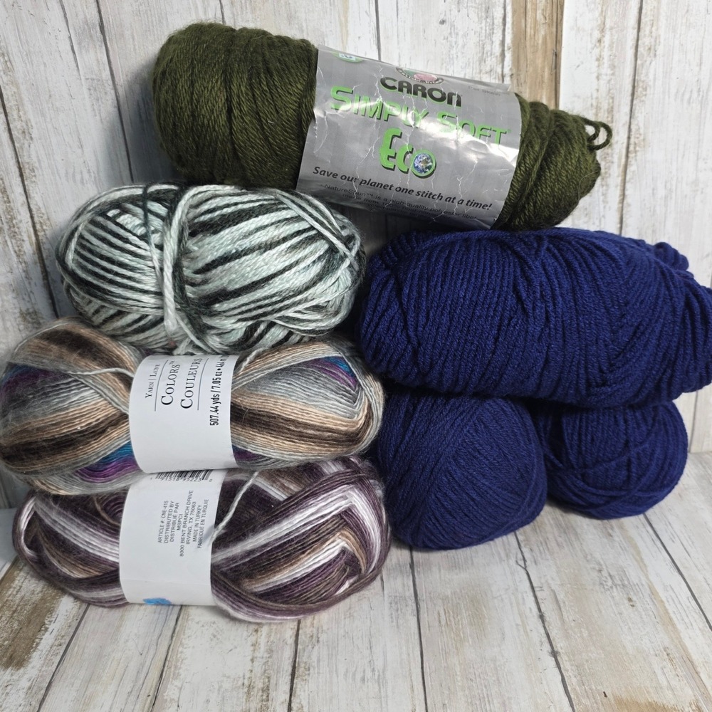 Caron Loops & Threads Yarn Lot 6 Skeins Simply Soft Eco Colors Variegated Navy